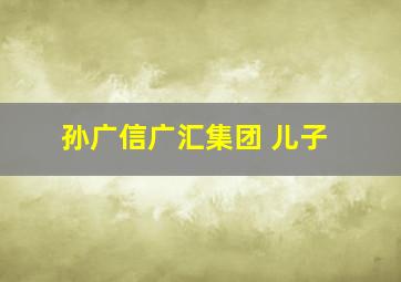 孙广信广汇集团 儿子